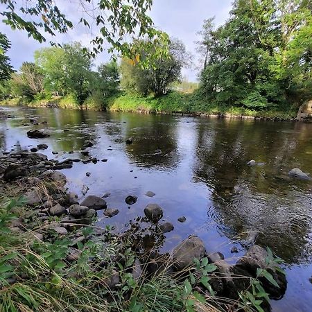 Riverside Bungalow - Direct River Access! Ystradgynlais المظهر الخارجي الصورة