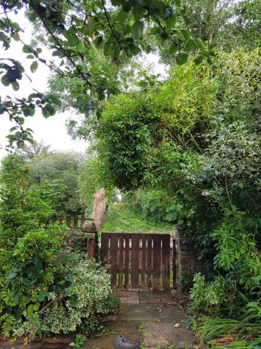 Riverside Bungalow - Direct River Access! Ystradgynlais المظهر الخارجي الصورة