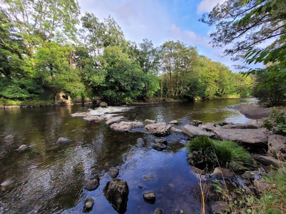 Riverside Bungalow - Direct River Access! Ystradgynlais المظهر الخارجي الصورة